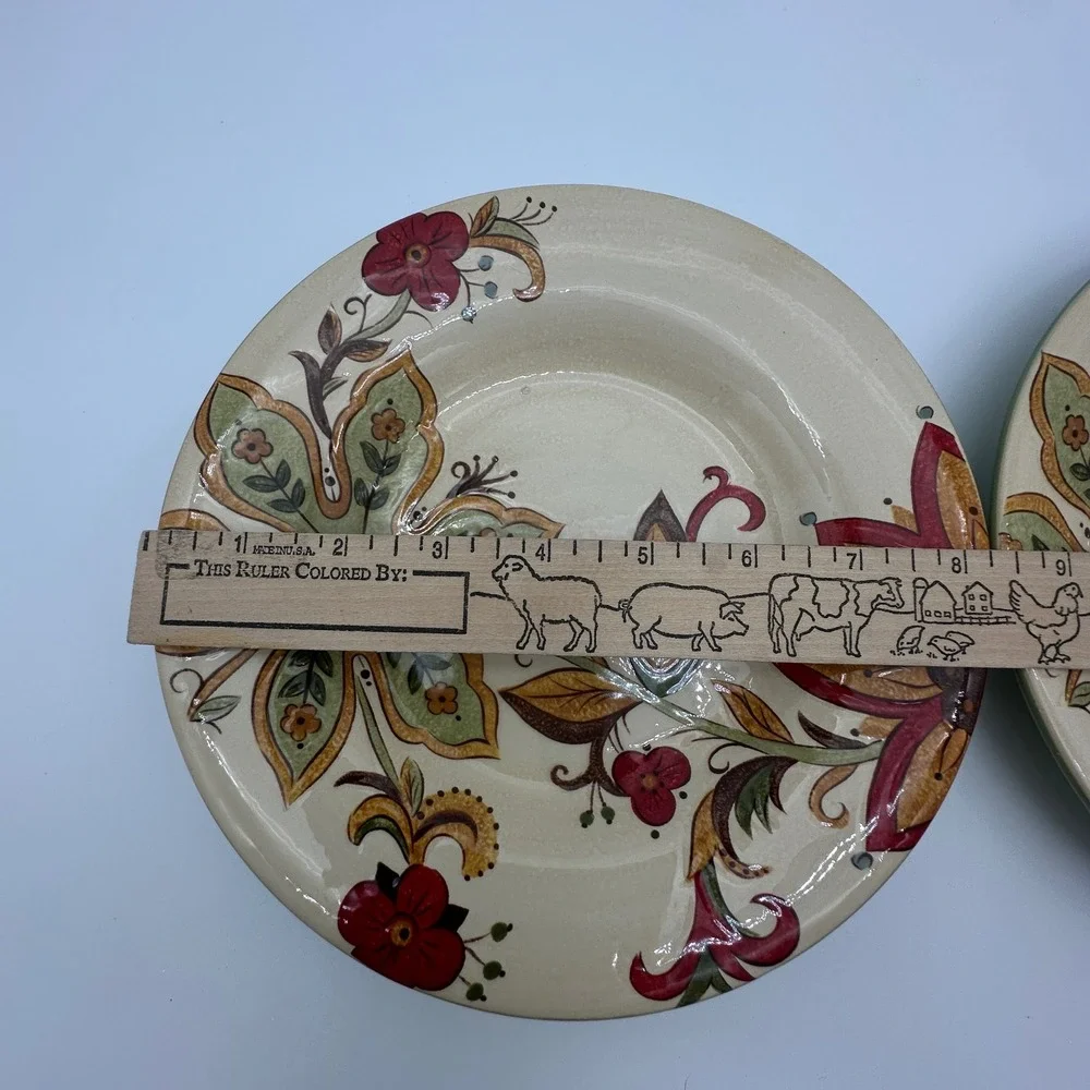 2 Pier 1 Imports Carynthum Salad Plates Handcrafted Earthenware Floral 8.2